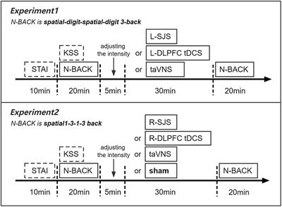 Assessing the Effect of Simultaneous Combining of Transcranial Direct Current Stimulation and Transcutaneous Auricular Vagus Nerve Stimulation on the Improvement of Working Memory Performance in Healthy Individuals